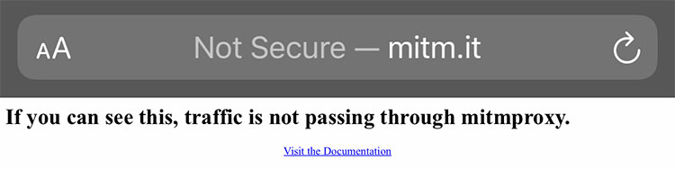 mitmproxy 프록시가 제대로 설정안되었으면 If you can see this, traffic is not passing through mitmproxy라고 나온다
