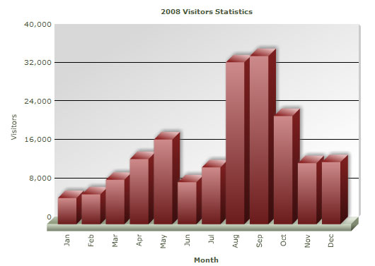 2008년 방문자 통계