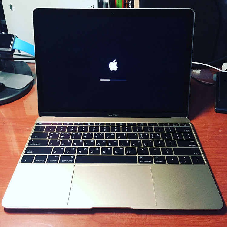 12인치 MacBook Gold