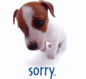 Sorry