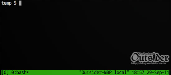tmux 접속화면