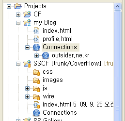 Aptana Studio 2.0의 File뷰의 Projects하위의 Connections 