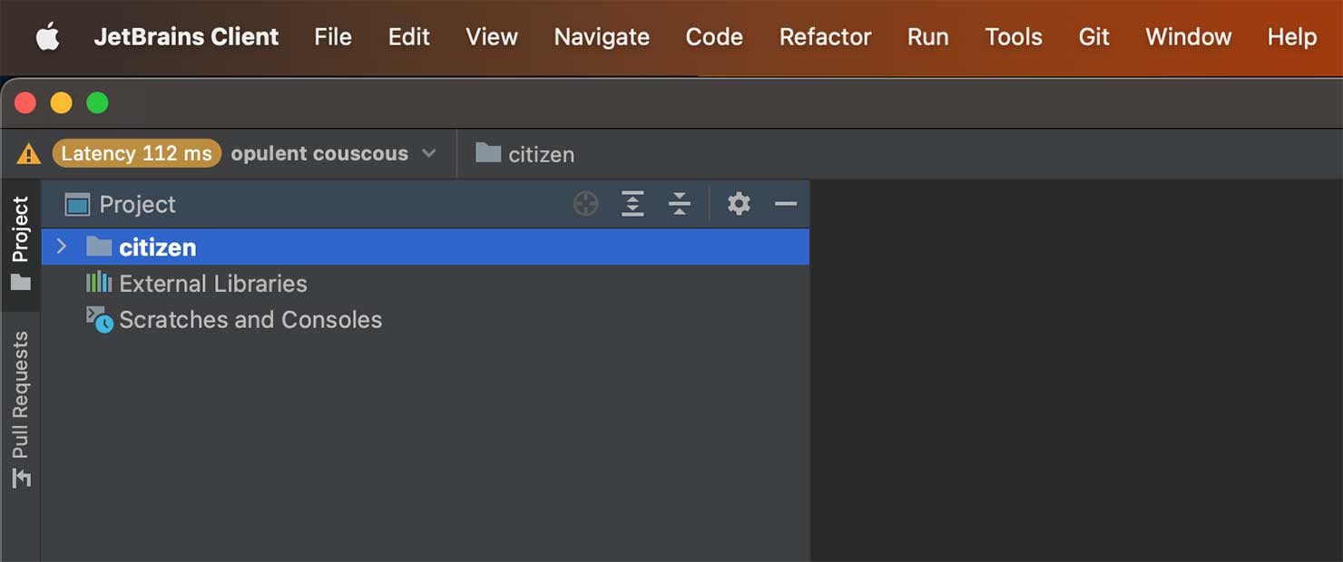 실행된 JetBrains Client