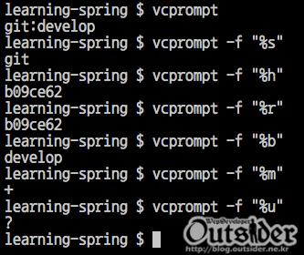 vcprompt 포맷 사용 결과 