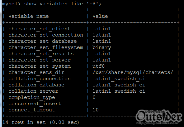 MySQL의 캐릭터셋을 조회하여 latin1로 나온 화면