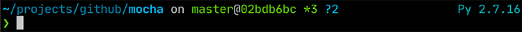 zsh의 python 버전 표시