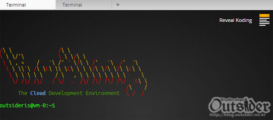 Terminal 앱이 가상서버에 접속한 화면