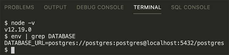 지정한 node.js 버전과 환경변수가 출력됨