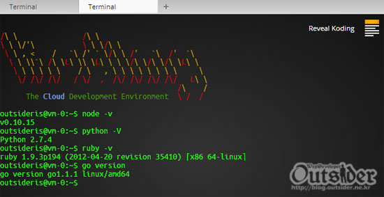 Terminal 앱에서 Node.js등의 런타임의 설치여부를 확인한 화면